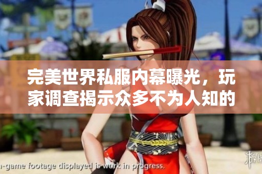 完美世界私服内幕曝光，玩家调查揭示众多不为人知的黑幕真相