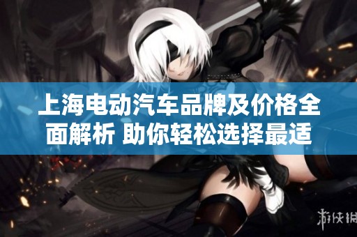 上海电动汽车品牌及价格全面解析 助你轻松选择最适合的车型