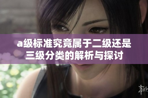 a级标准究竟属于二级还是三级分类的解析与探讨