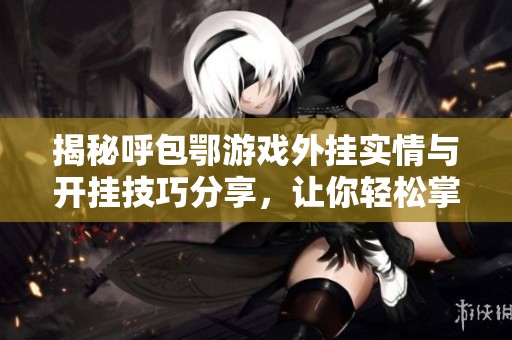 揭秘呼包鄂游戏外挂实情与开挂技巧分享，让你轻松掌握游戏秘诀