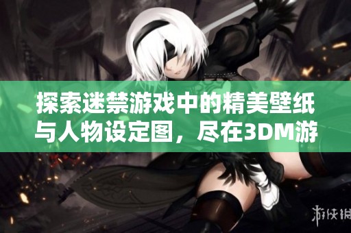 探索迷禁游戏中的精美壁纸与人物设定图，尽在3DM游戏网精彩呈现