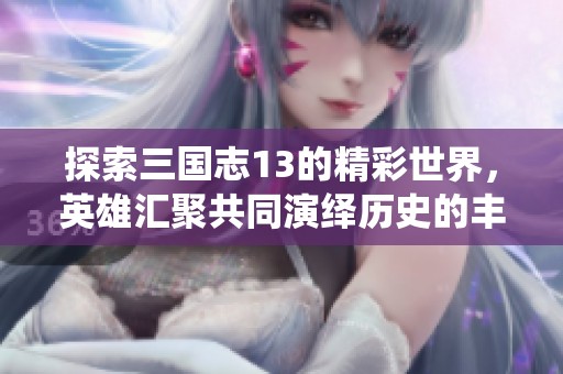 探索三国志13的精彩世界，英雄汇聚共同演绎历史的丰盈篇章