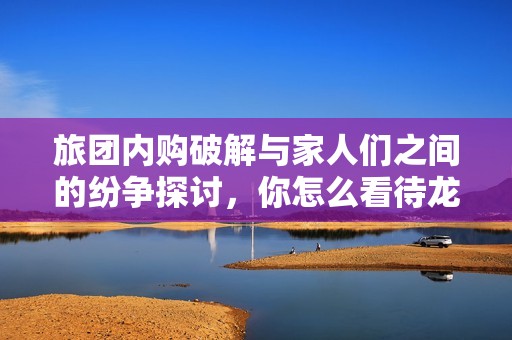 旅团内购破解与家人们之间的纷争探讨，你怎么看待龙凤手游网的最新动态