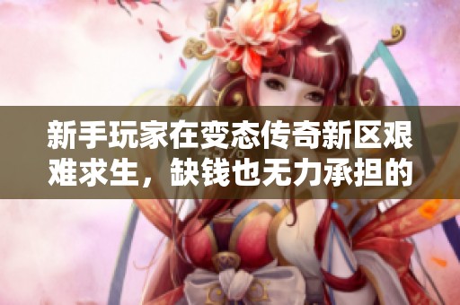 新手玩家在变态传奇新区艰难求生，缺钱也无力承担的困境与策略分享