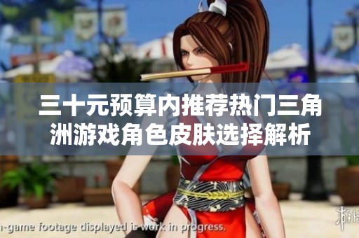 三十元预算内推荐热门三角洲游戏角色皮肤选择解析